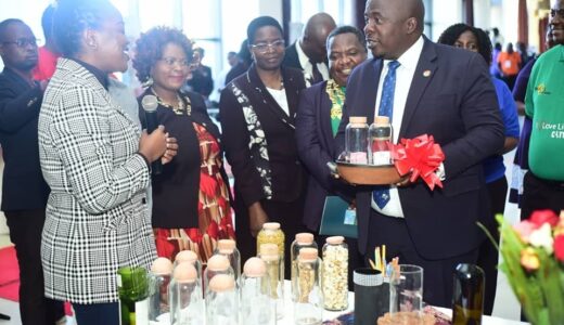 Minister Chimwendo Officially Inaugurates First Ever Lilongwe City Summit: Says cities must spearhead sustainable development