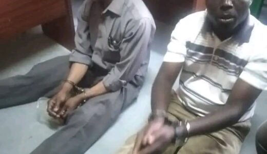 Limbe Police arrest two for possessing a live pangolin