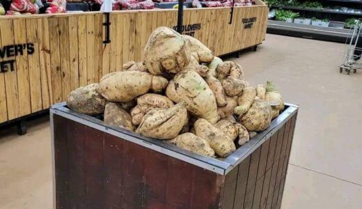 HARD TIMES: Malawians surviving on Mbatata