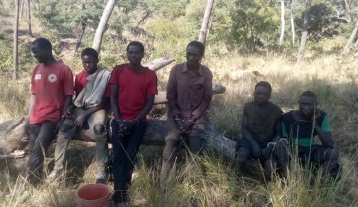 Crackdown, police apprehend 15 illegal loggers including Thambani Health Chairperson Mauleti
