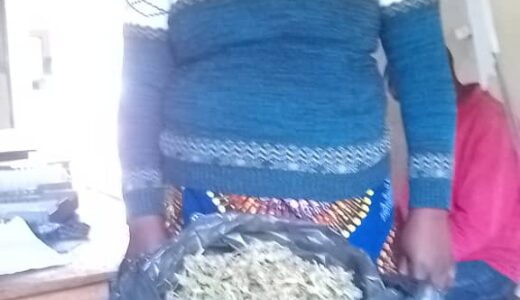 Two Arrested in Mwanza for Possession of Cannabis Sativa While Heading To South Africa