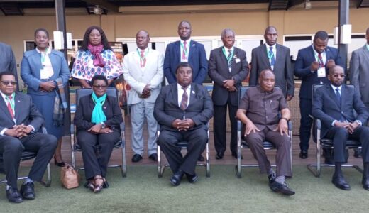 Malawi-Mozambique in joint cross-border crime fight