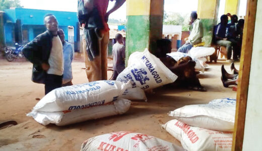 Govt identifies 13 companies to supply AIP fertilizer