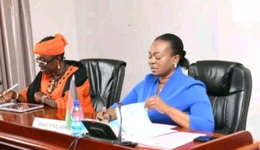 Speaker Hara lauds strong cooperation between parliament and donors