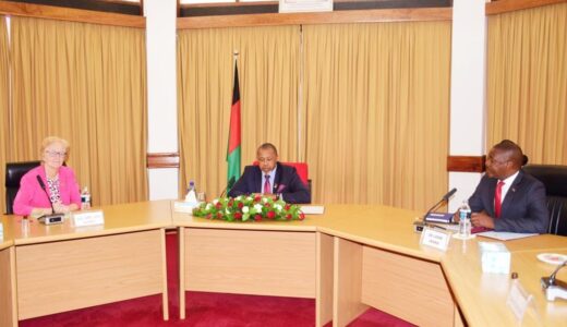 Chilima meets newly appointed Germany Envoy (see photos)