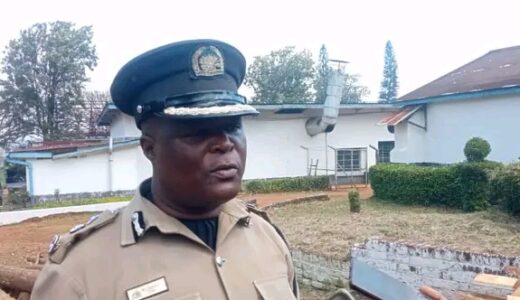 Thugs arrested for ‘terrorizing’ Mulli’s Chitakale Plantations