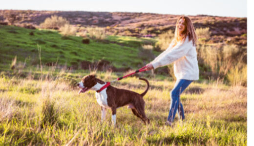 10 Must-Have Accessories for Your Dog’s Outdoor Adventures