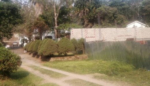 High Court stops ‘illegal’ Blantyre building amidst wetland dispute