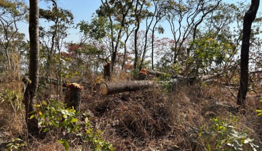 Concerned citizens want action to save Michiru Mountain