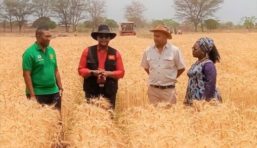 Malawi can self-sustain – Chakwera