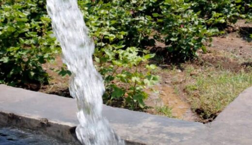 Malawi farmers to beat bad weather with OpenHarvest tool