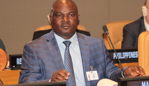 ROAD TO 2025: Jappie Mhango appointed DPP Veep for North