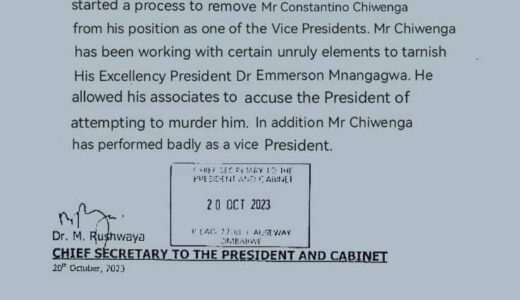 Zimbabwe President Emmerson Mnangagwa fires his vice