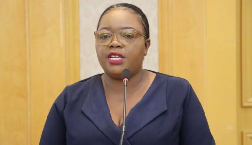 Malawians at liberty to access government information – State House