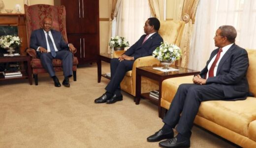 Zambia President Hakainde Hichilema meets His Majesty King Motlotlehi Letsie III (see photos)