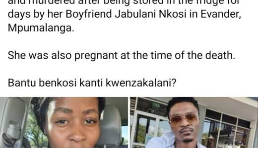 Pregnant woman killed and set ablaze after being hidden in fridge by boyfriend in South Africa