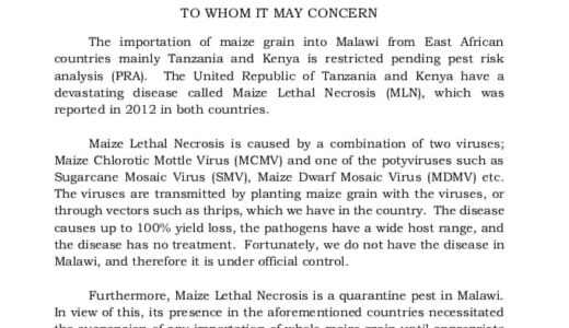 Govt bans importation of Maize from Tanzania, Kenya