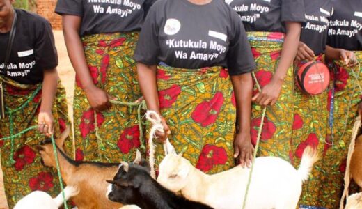 UMODZI DISTRIBUTES GOATS TO MANESIKAPENI WOMEN GROUP