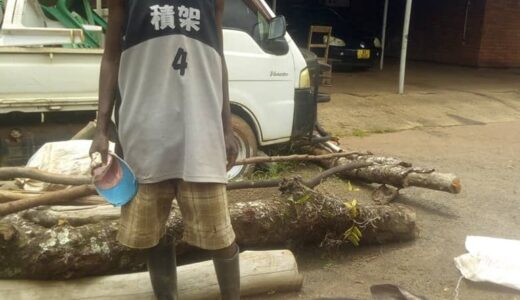 BIZARRE: Malawi Police ‘arrest’ a pig