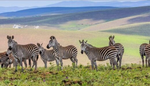 Malawi needs more marketing through partnership to stimulate investments