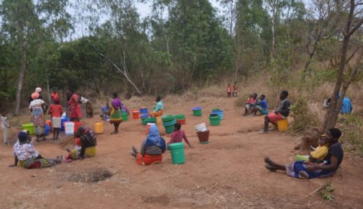 Livestock, villagers in Nsanje share drinking water