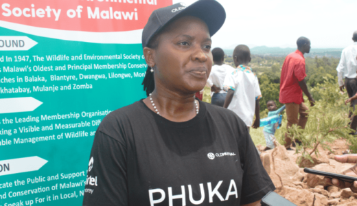 Old Mutual plants 2,000 trees in Michiru Forest Reserve