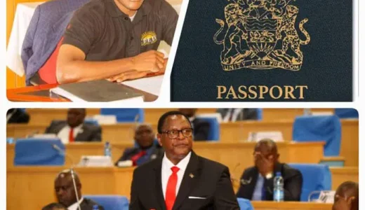 “Don’t believe in hacking narrative, its MCP IT gurus putting Malawians at ransom on Passport crisis”