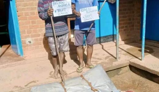 Court discharges Mwanza presidential carpet thieves