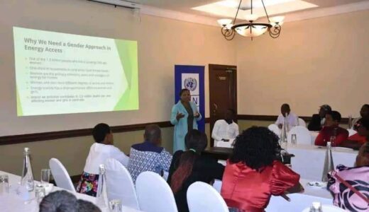 UNDP told women to embrace renewable energy