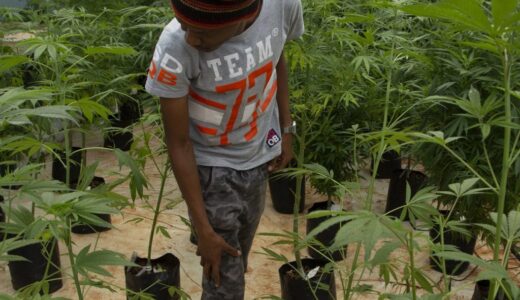 Aphungu akukambirana za chamba