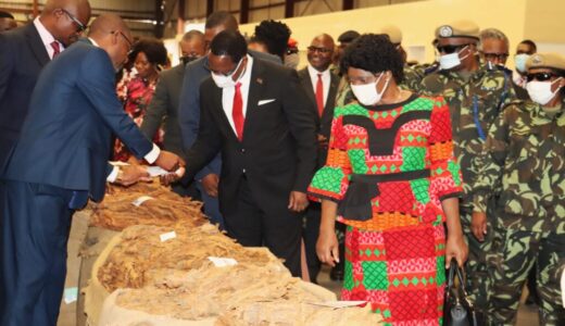 Tobacco market for 2023/2024 opens