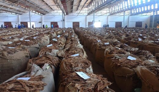 Experts commend government for good tobacco prices