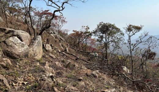 25-Year-old boy jailed jailed 3-years for being found in forest