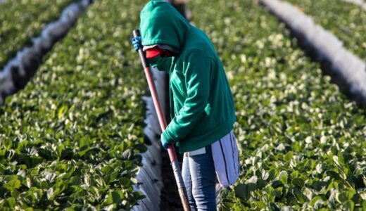 Malawi to support Israel based interns