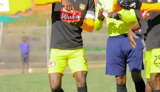 Tigers clash with Dynamos