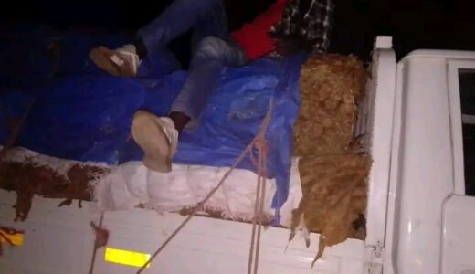 Tobacco Commission, Police Intensify Anti-Smuggling Efforts… Confiscate Volumes of Tobacco in Mchinji
